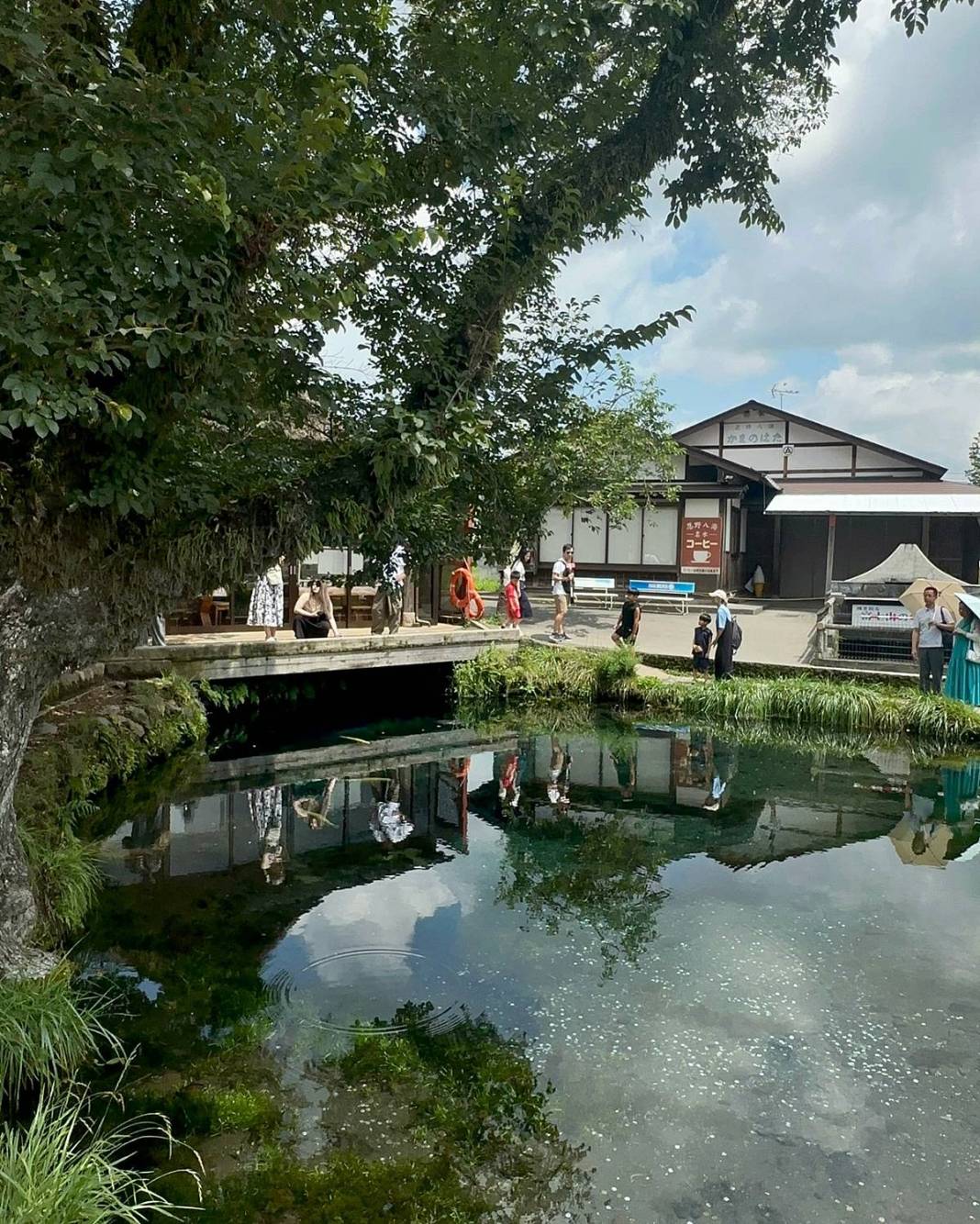 Japonya'da sevilen bir yabancı olun: Harika bir deneyim için altın kurallar! Gülümse ve kurallara uy 15